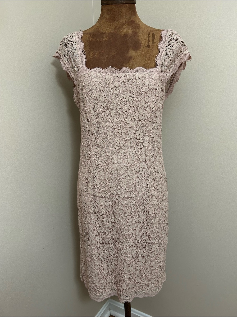 Adrianna Pappel Blush Pink Lace Cap Sleeve Sheath Dress
